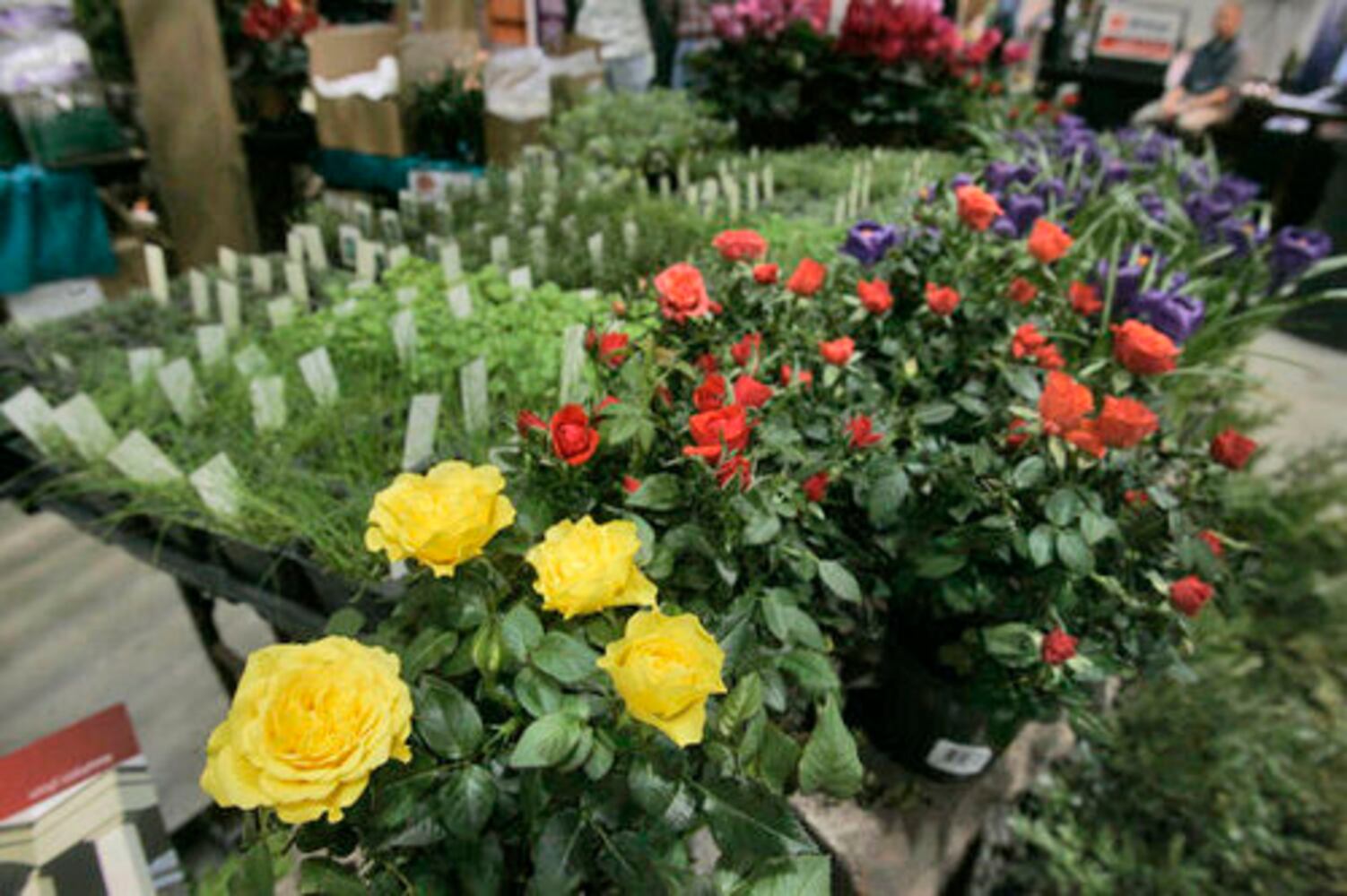Dayton Home & Garden Show
