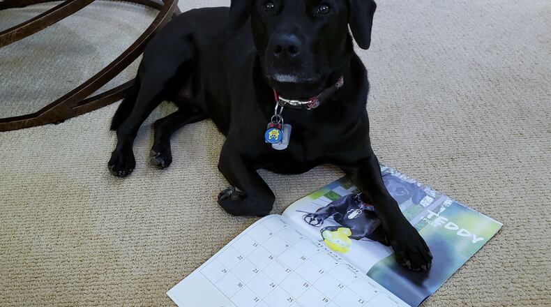 "Hey! It's me, Teddy." KARIN SPICER