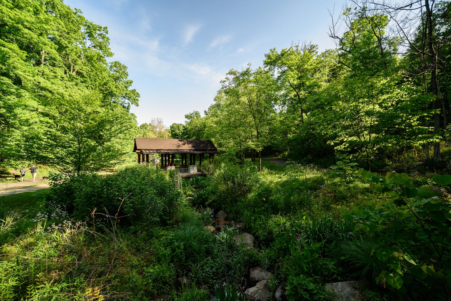 PHOTOS: Take a stroll through the hills at picturesque park