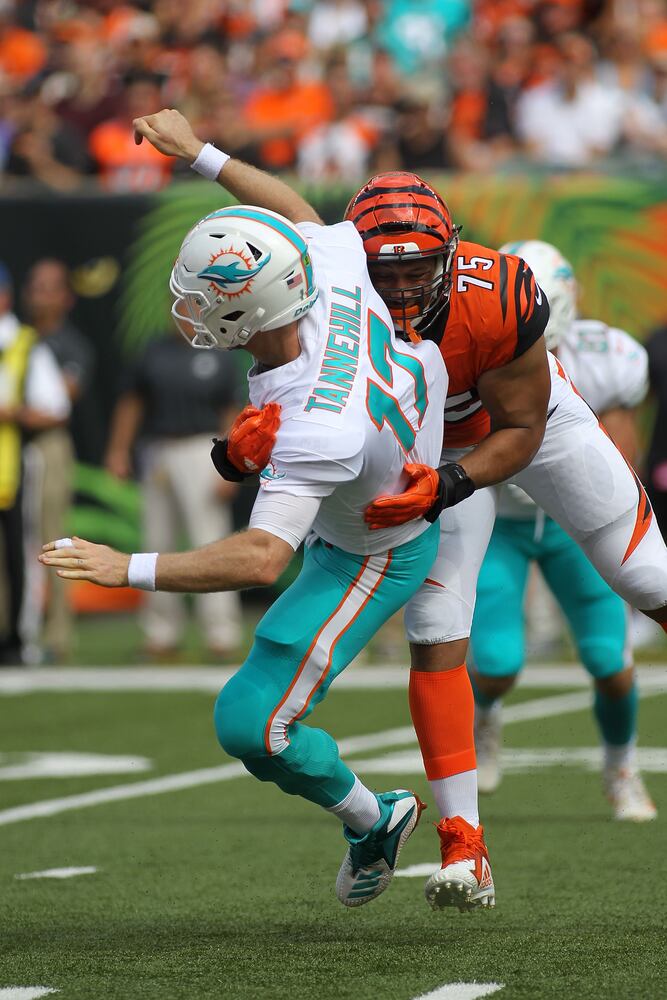bengals dolphins gallery