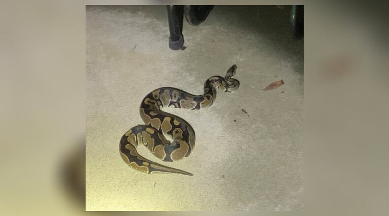 Franklin police responding to a trespassing complaint found a suspect trying to slither away. Officers are asking anyone missing a snake to call the police department.