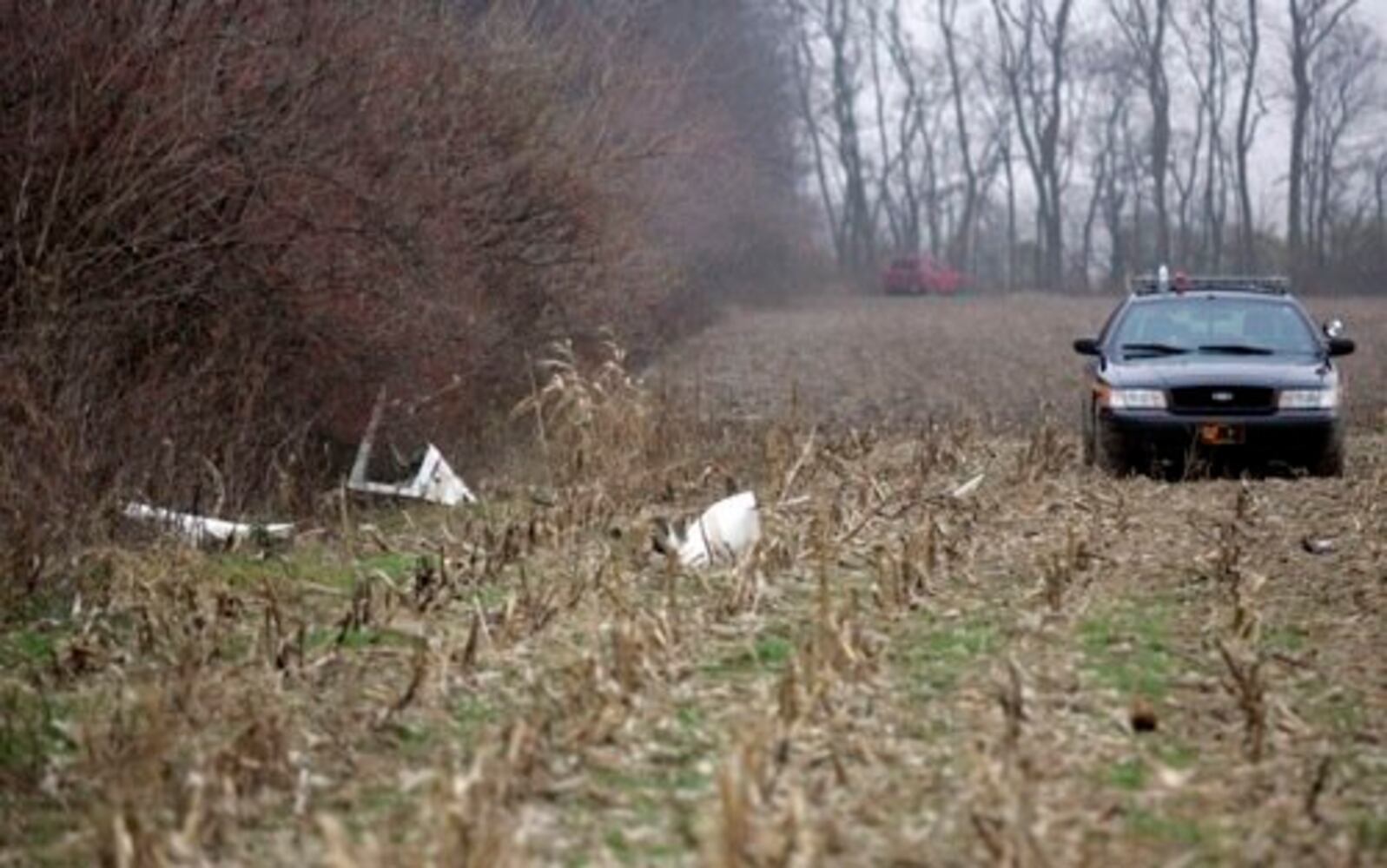 Pilot dies in plane crash