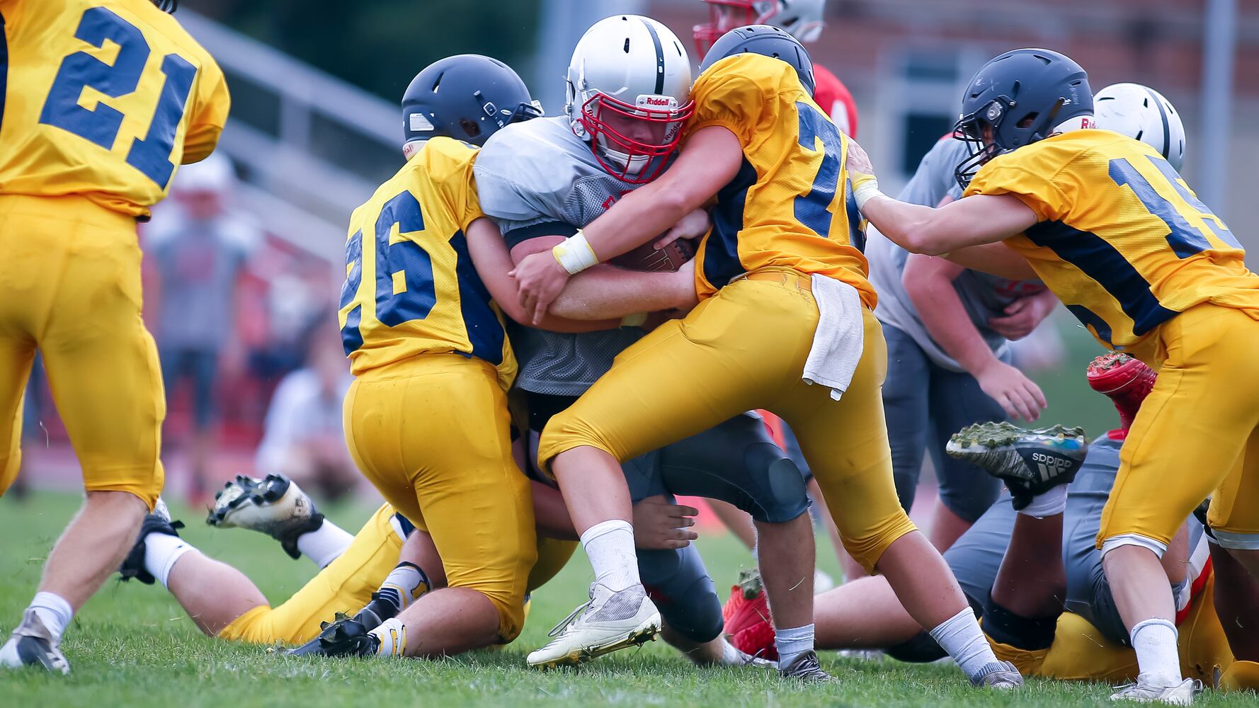 hsfb