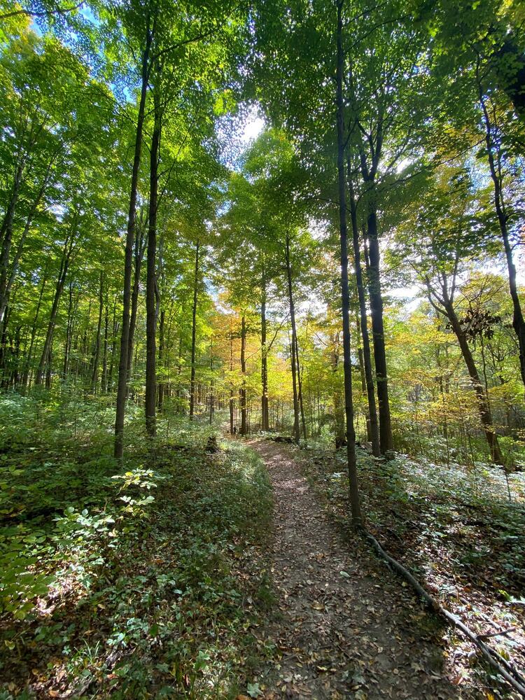 Narrows Reserve