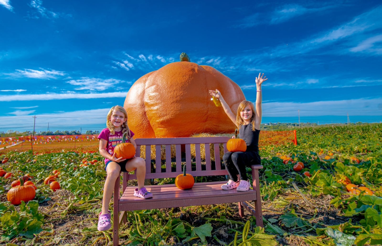 Fall means pumpkins and picture-perfect moments at Brown's Family Farm Market. CONTRIBUTED