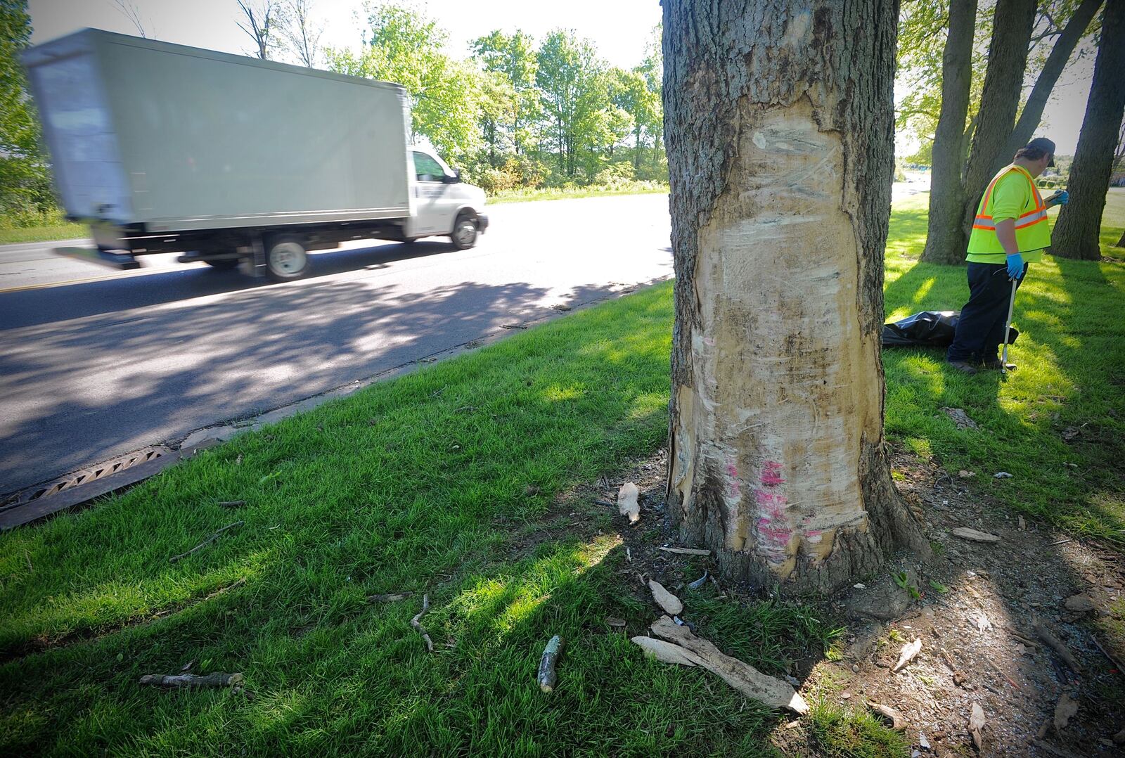 Crews clean up around tree along Airway Drive where three juveniles were killed in a crash on Wednesday, May 12, 2021. MARSHALL GORBY\STAFF