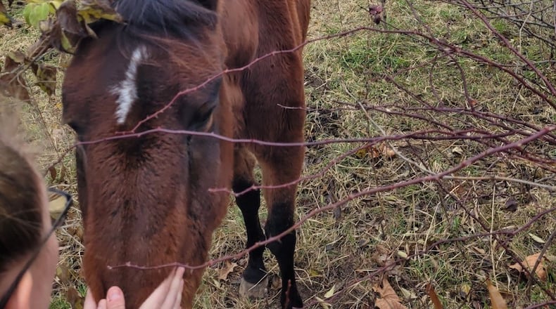 A woman is charged with misdemeanor and felony animal cruelty charges after an emaciated horse and a dead dog were found by Butler County deputy dog wardens on a Hanover Twp. property. BUTLER COUNTY SHERIFF'S OFFICE