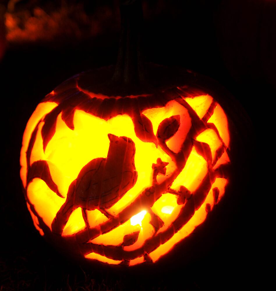 PHOTOS: Did we spot you at the Greene County Pumpkin Glow?