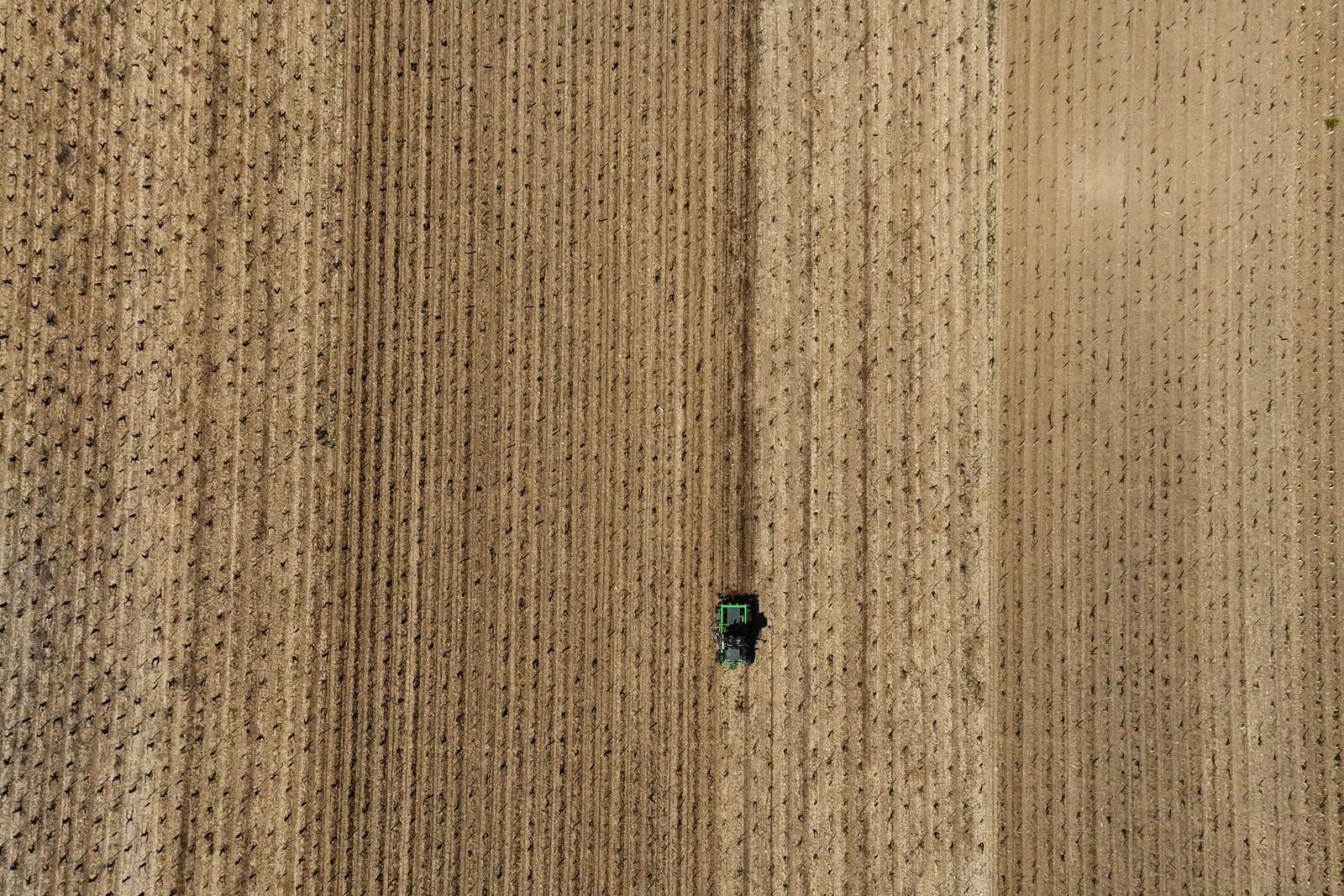 A tractor driving through the Chablis vineyards in Chablis, Burgundy region, eastern France, Thursday, April 3, 2025. (AP Photo/Thibault Camus)
