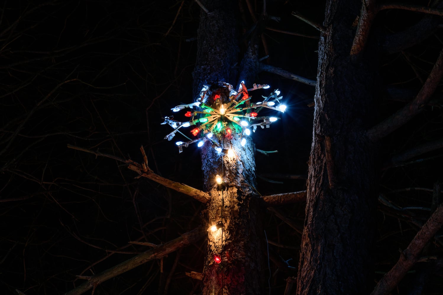 PHOTOS: A walk through Woodland Lights in Washington Township