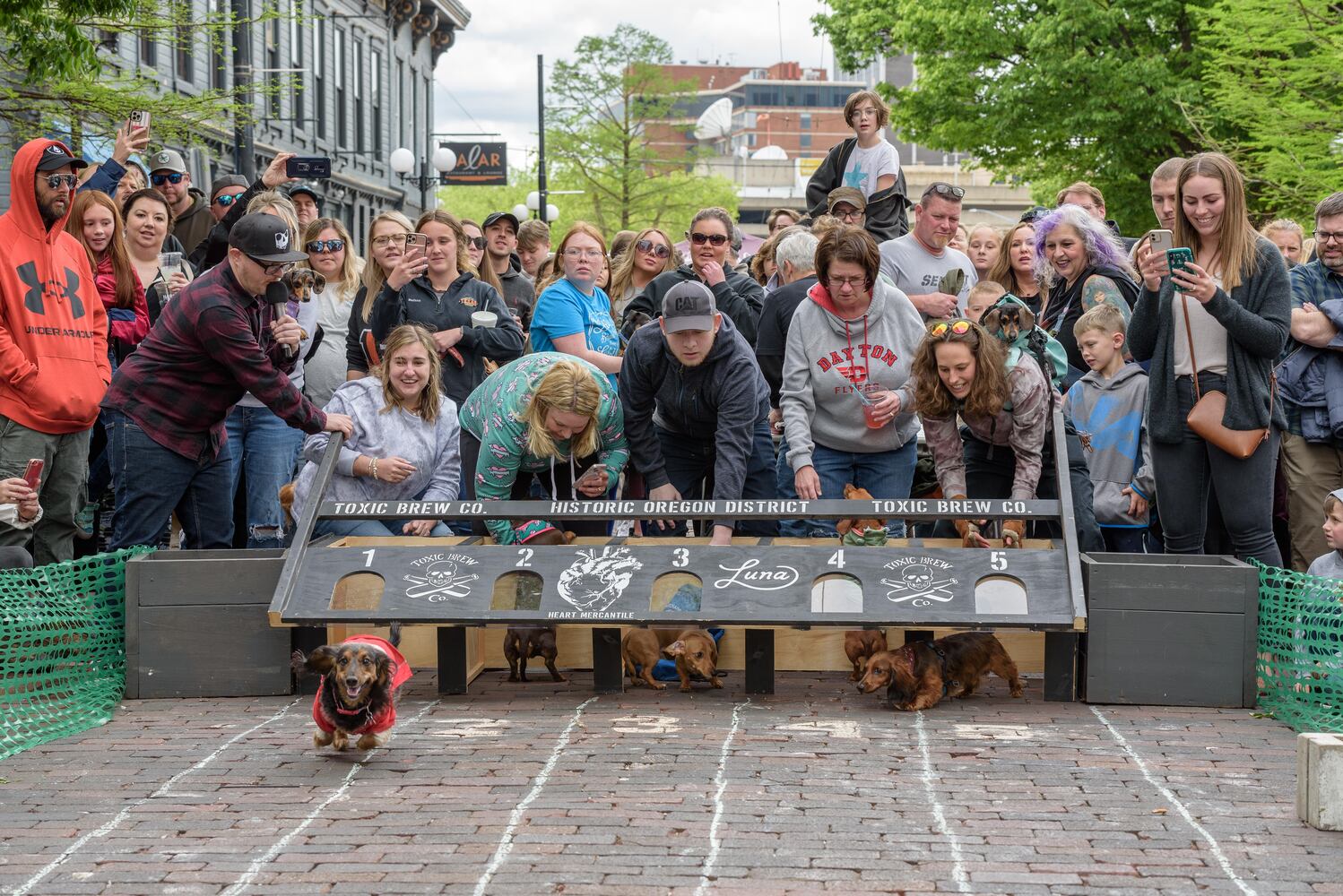 PHOTOS: Did we spot you at the Derby Day Wiener Dog Race in The Oregon District?
