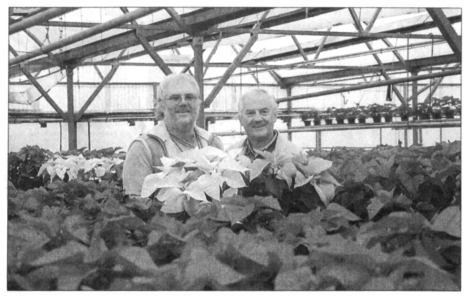 Rick and Pete Kossoudji surrounded by poinsettias at the North Dayton Garden Center in December, 2004. DAYTON DAILY NEWS ARCHIVES