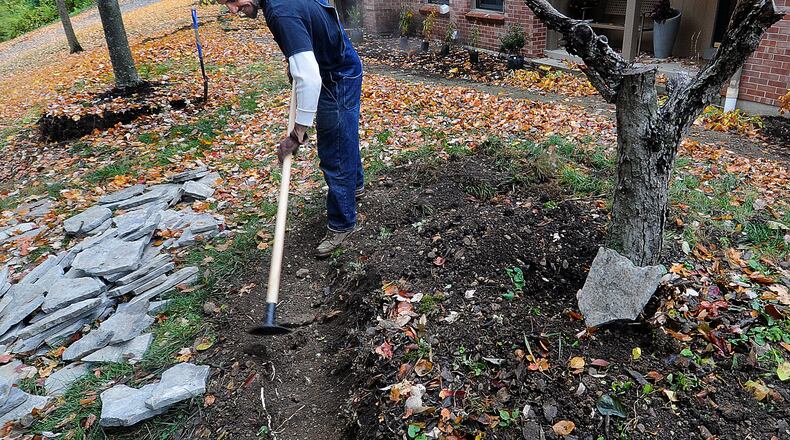 Jonny Thomas the owner/operator of Regenerate Garden Co. work at a home in Kettering Wednesday Oct. 26, 2022. The business specializes in creating native and edible gardens designed to be aesthetically pleasing and resource rich. MARSHALL GORBY\STAFF