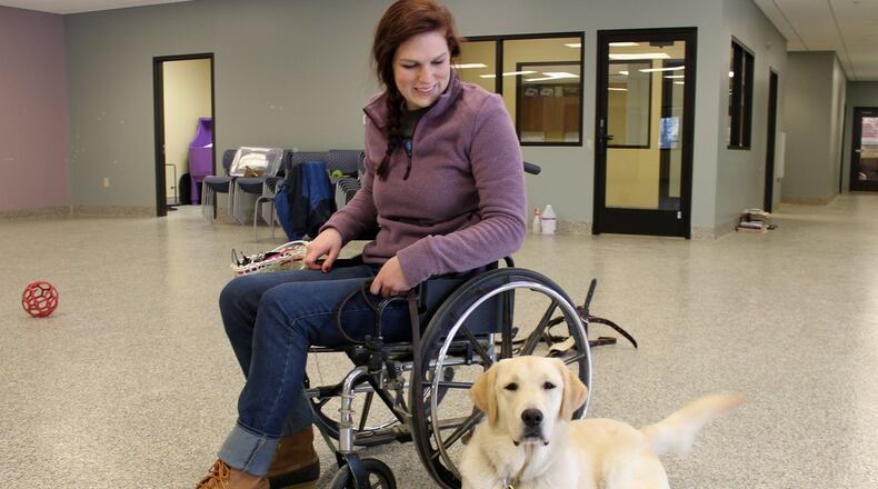 4 Paws for Ability, a nonprofit charity that trains service dogs for children and veterans with disabilities, will be spending Sunday, Jan. 17 from 1-5 PM celebrating the completion of its new building project by hosting an open house. Xenia Mayor, Marsha Bayless, and Xenia Area Chamber of Commerce President/CEO, Alan Liming, and other Chamber Board members will be attending the ribbon-cutting ceremony at 1 PM along with Hi-Five, 4 Paws staff, and major donors. 4 Paws trainer Cameron McLendon works with Laborador/Golden Retriever Ascics in the new facility. CHUCK HAMLIN / STAFF