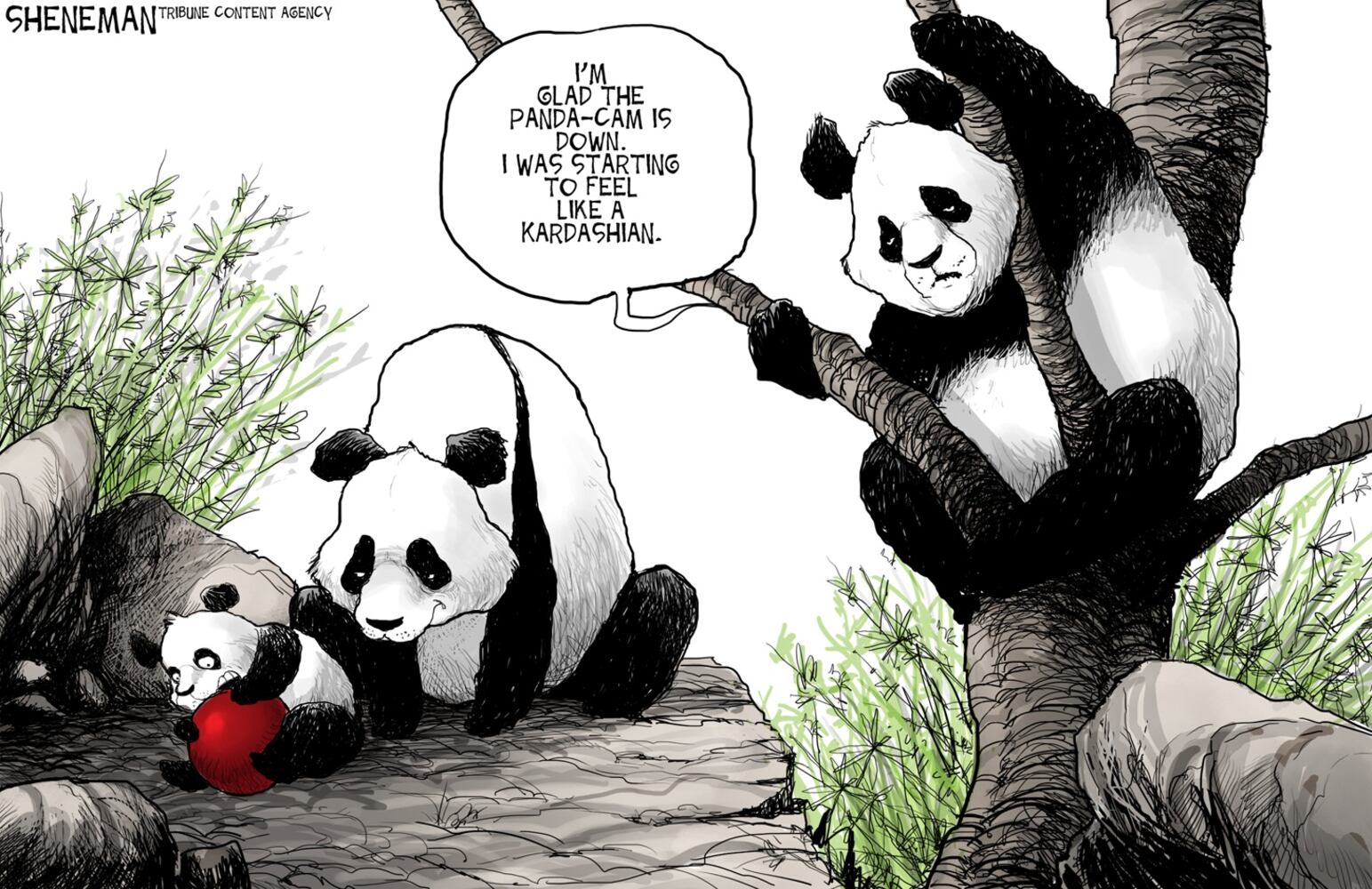 Today's cartoons