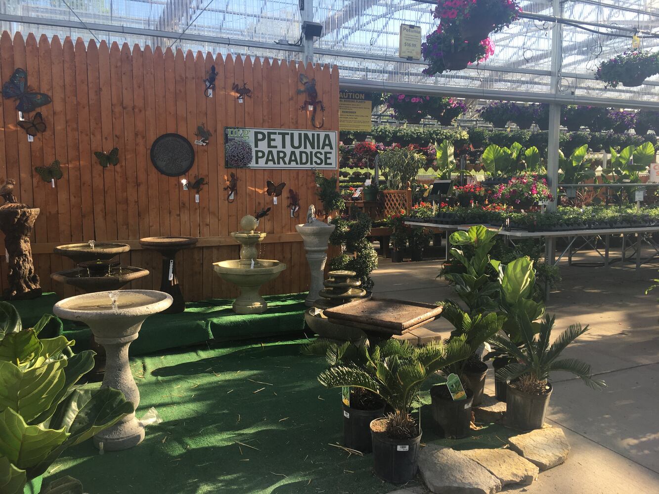 Meadow View Growers