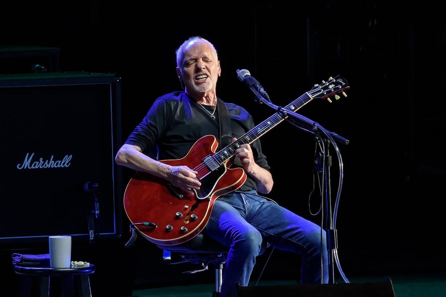 PHOTOS: Peter Frampton Live at Rose Music Center