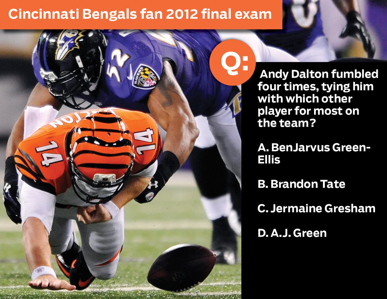Cincinnati Bengals fan 2012 final exam: