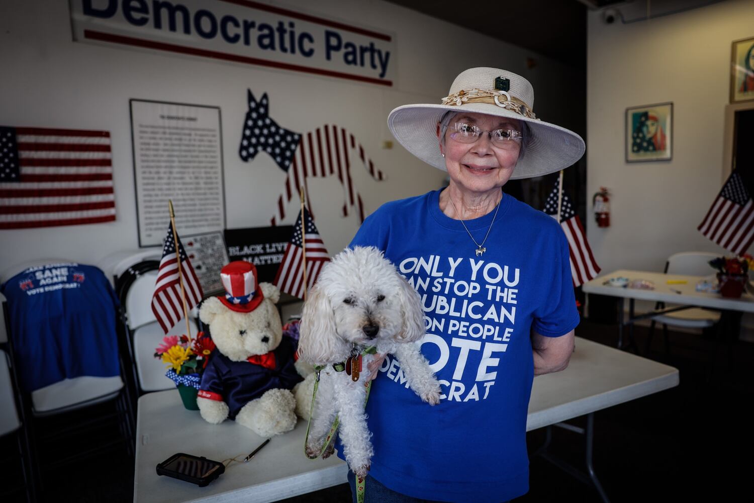 Greene Co Democratic office vandalism