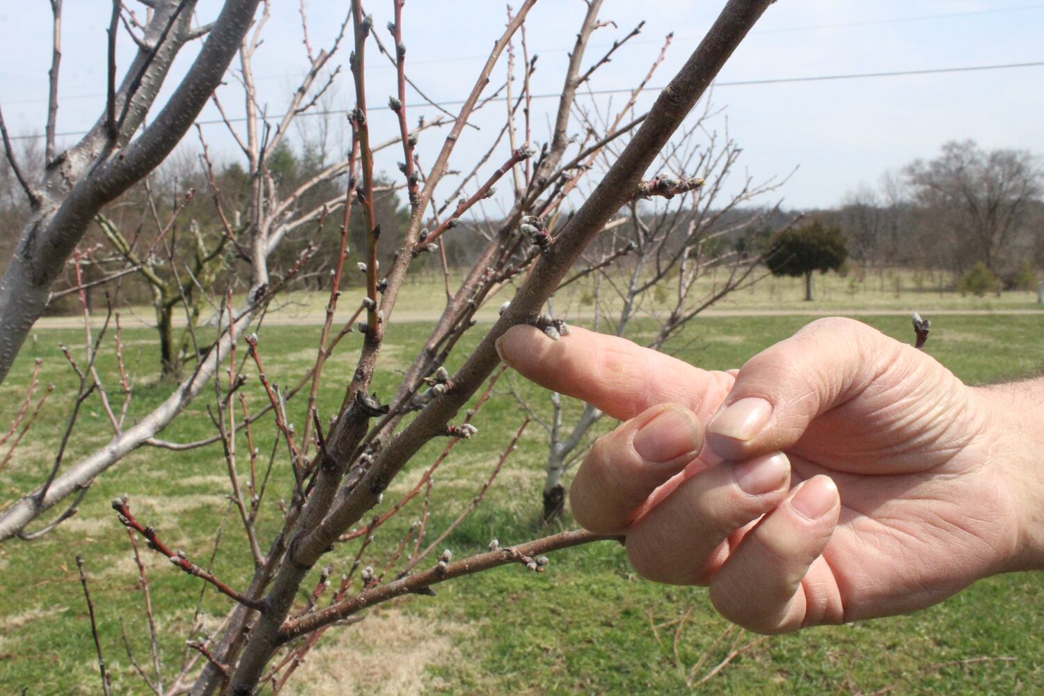 Photos: Monnin’s Fruit Farm getting ready for 58th season
