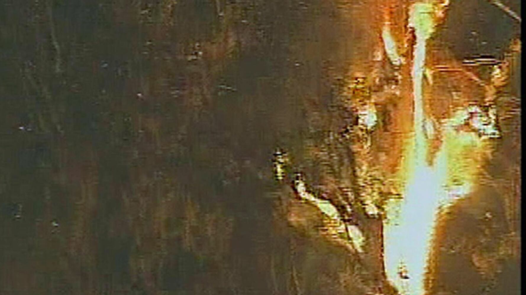 Senator tree on fire