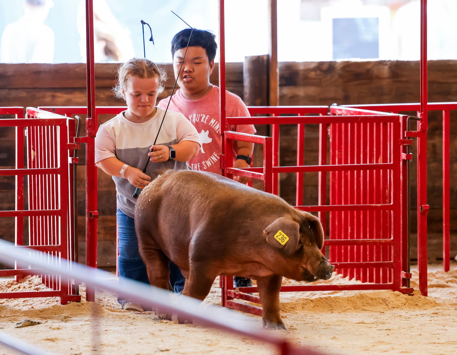Allie Smith teaches Alex Johnston, from the television show "7 Little Johnstons", how to show animals at the Butler County Fair Monday, July 21, 2025 in Hamilton. Johnston and some of his family had a film crew following them around the fair creating content for the show. NICK GRAHAM/STAFF