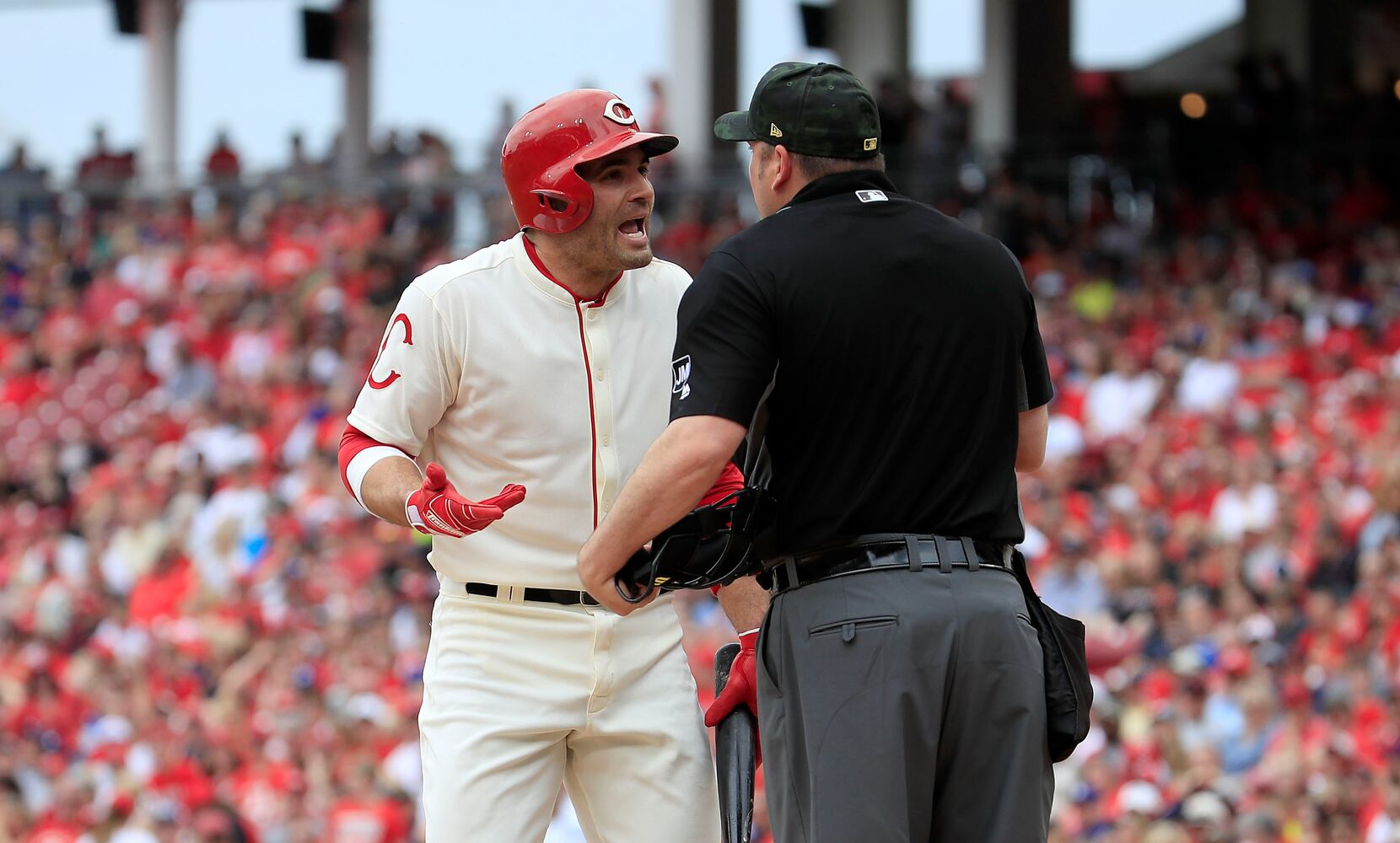 REds gallery