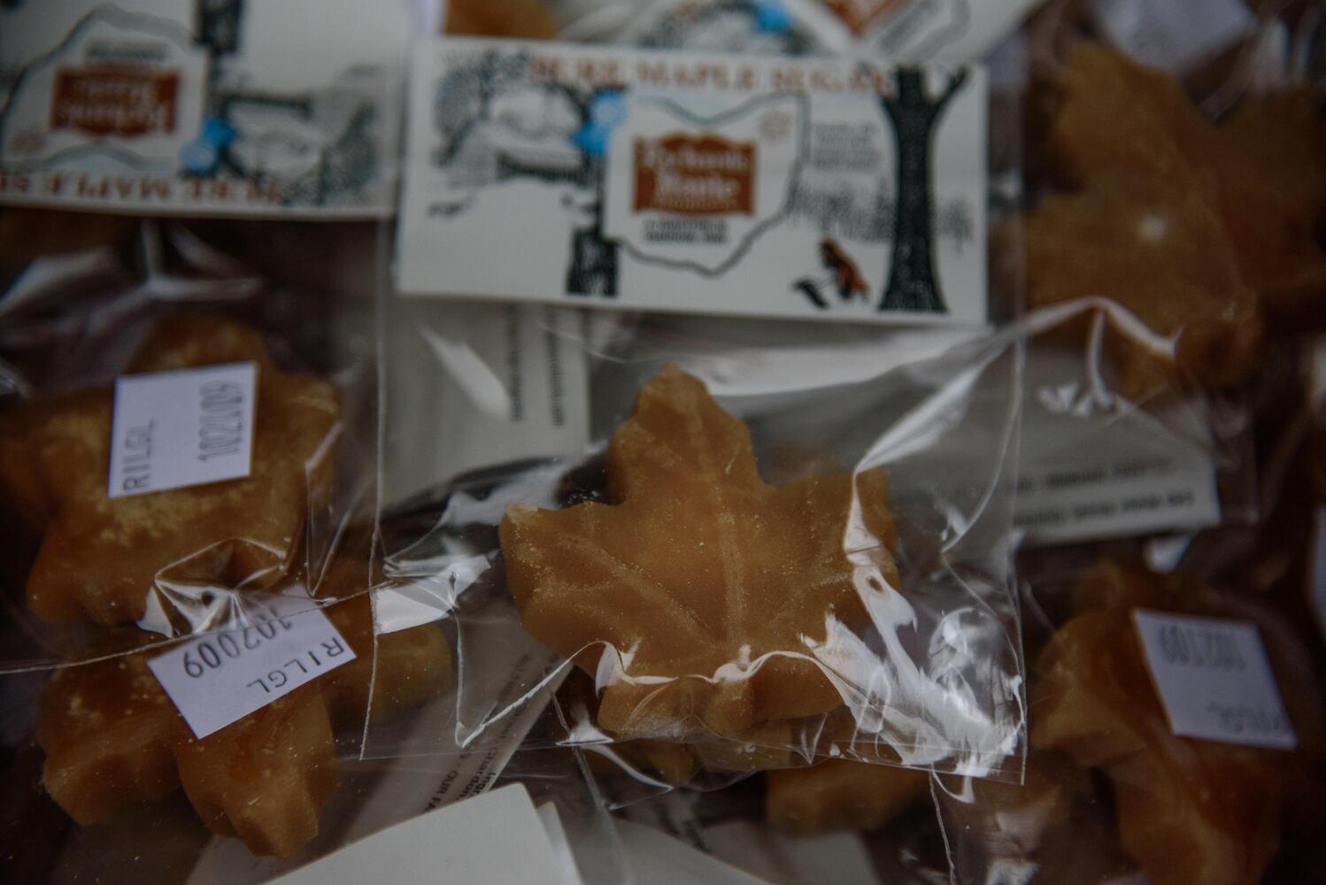 PHOTOS: Did we spot you having a sweet time at Sugar Maple Festival?