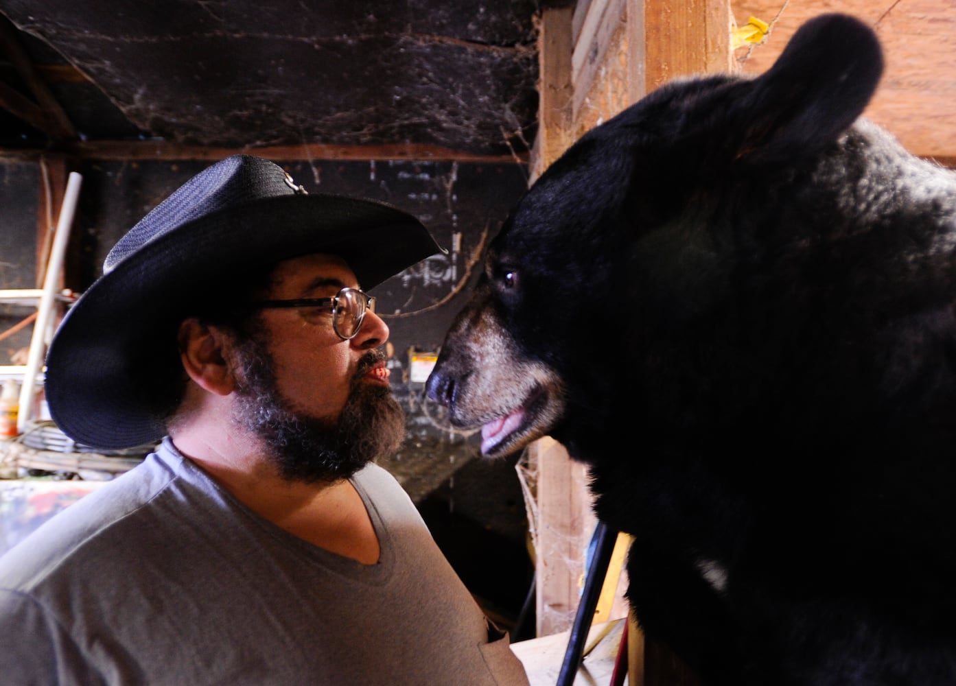 Buddy the bear