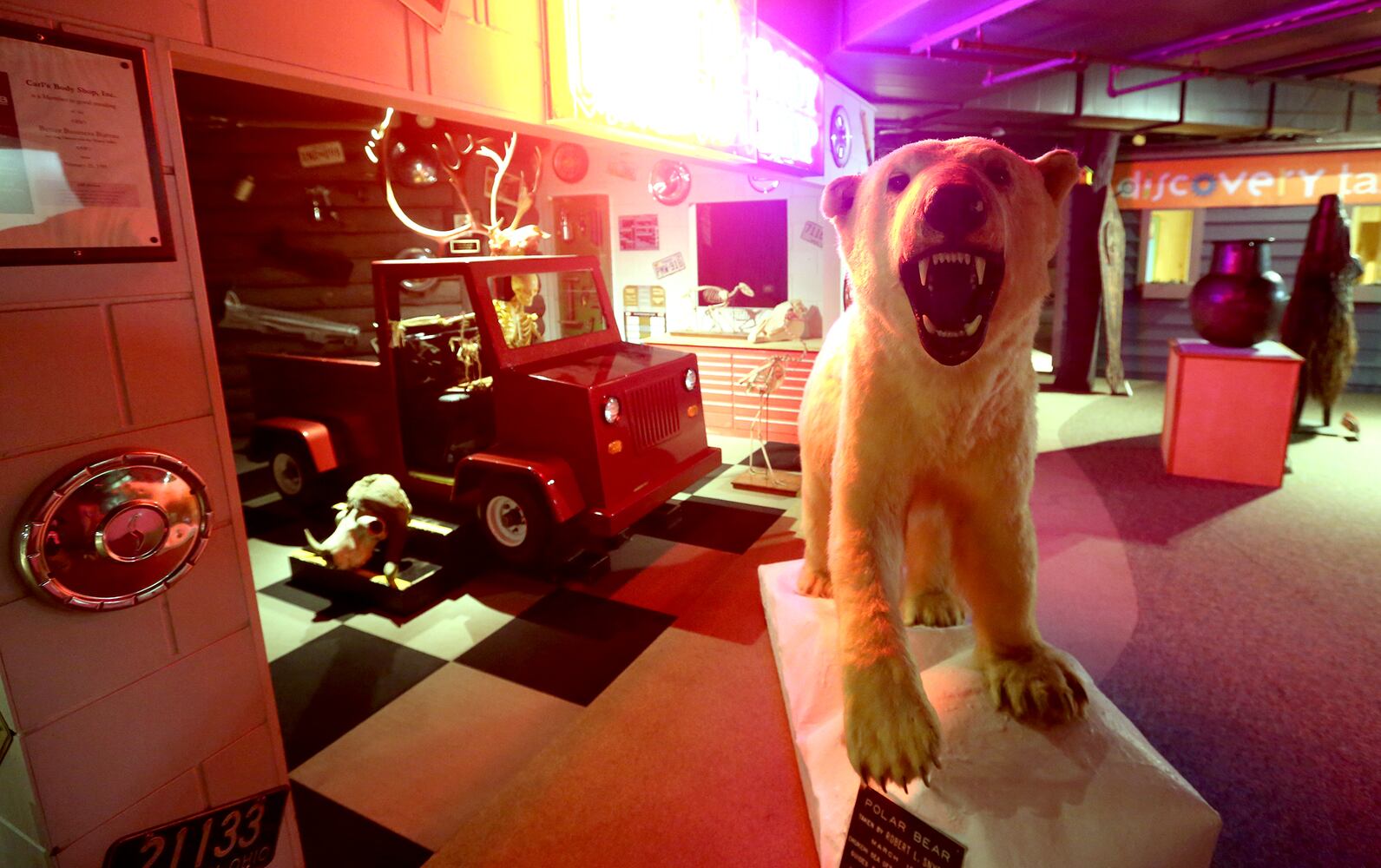 PHOTOS: Boonshoft Museum of Discovery reopens with old favorites and rarely seen artifacts from the collection