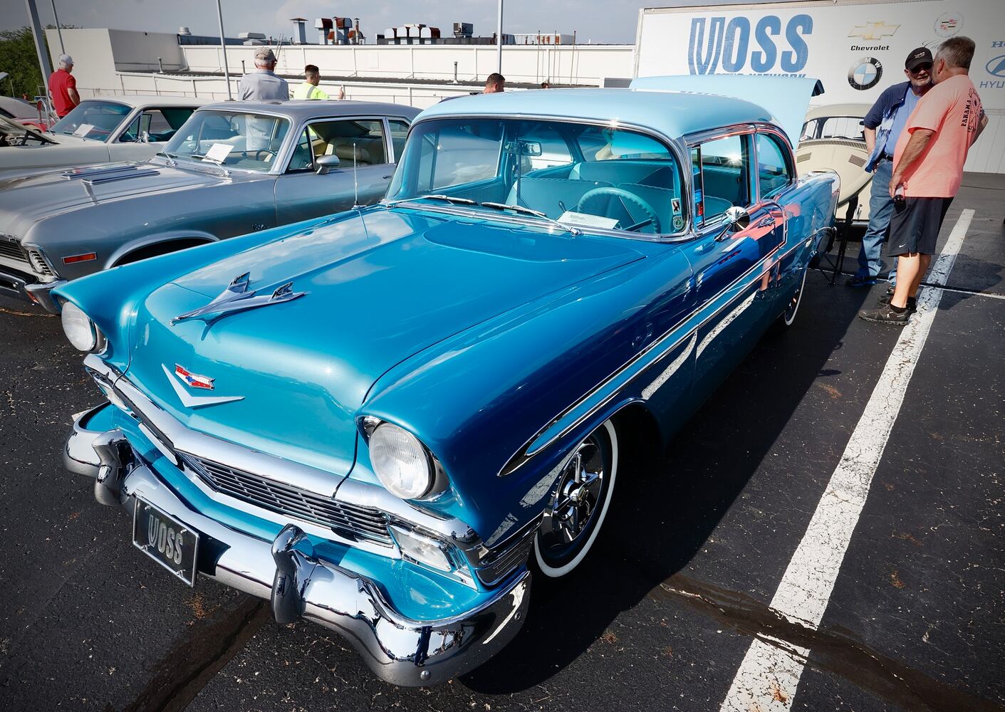 Cruise in
