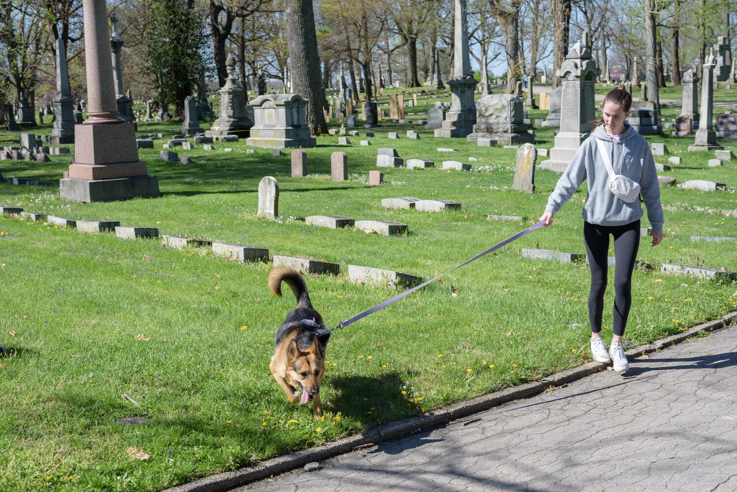 PHOTOS: Woof Walk at Woodland Cemetery & Arboretum