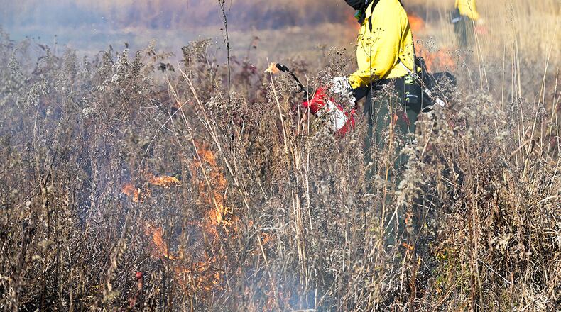 A firefighter with the U.S. Air Force Wildland Fire Branch Wildland Support Module uses a drip torch to set fire to parts of Huffman Prairie as part of the annual prescribed burn Nov. 12. U.S. AIR FORCE PHOTO/WESLEY FARNSWORTH