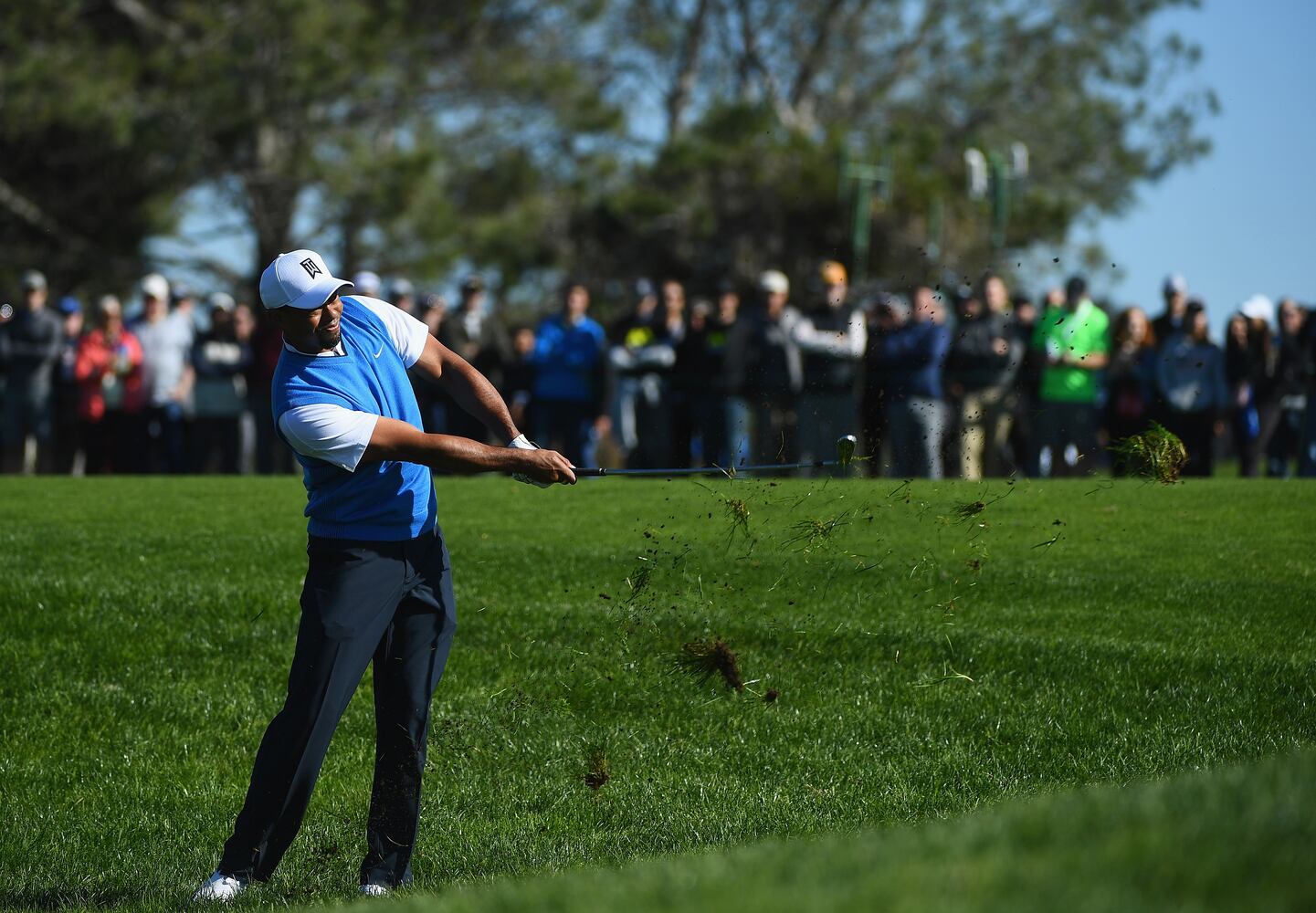 Tiger Woods