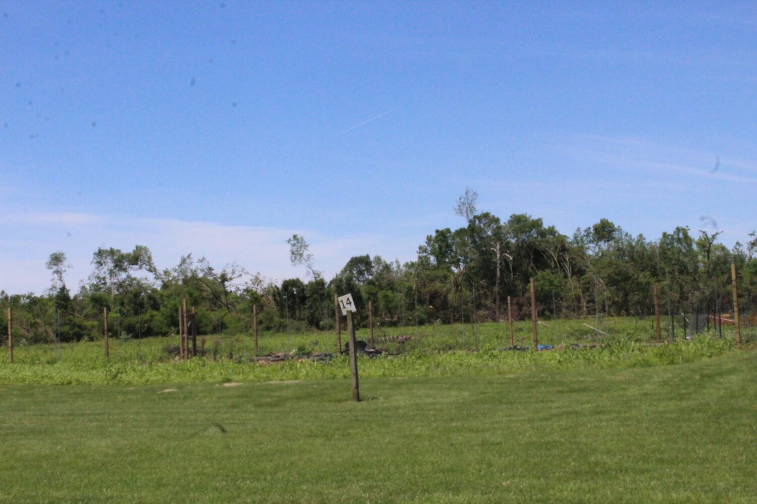 Photos: ‘extraordinary’ damage to parts of  Wegerzyn MetroPark, some parts mostly untouched