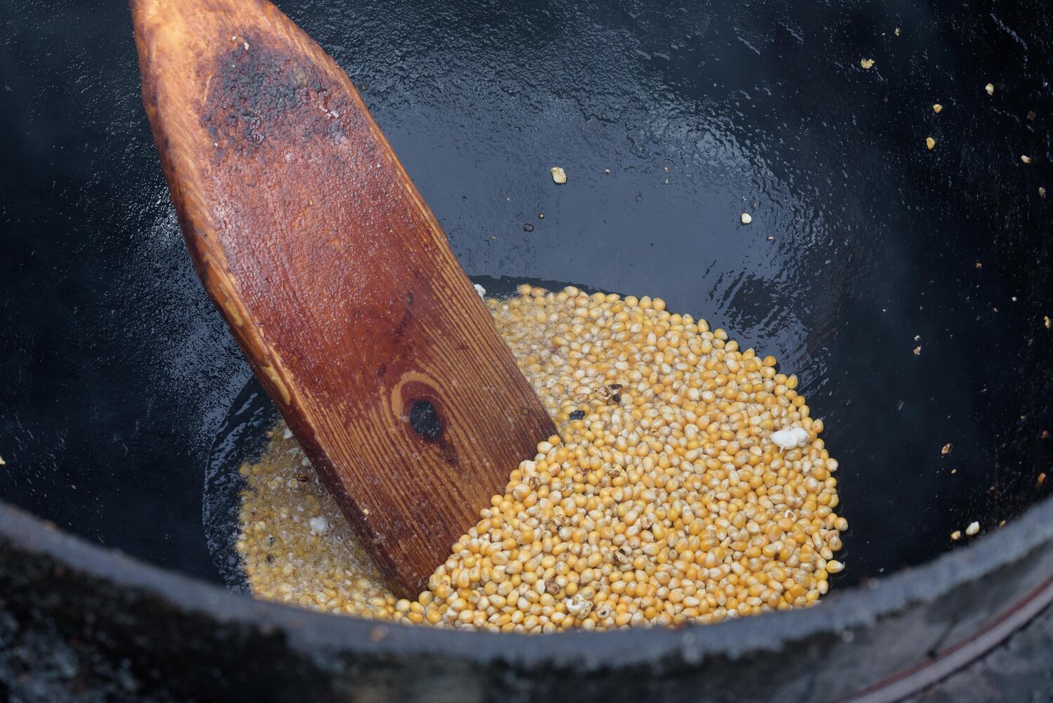 PHOTOS: Did we spot you at the Beavercreek Popcorn Festival?