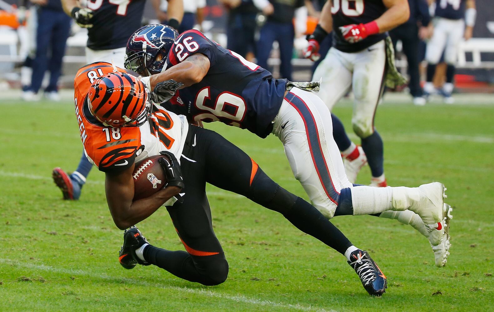 Bengals vs. Texans: Nov. 23, 2014