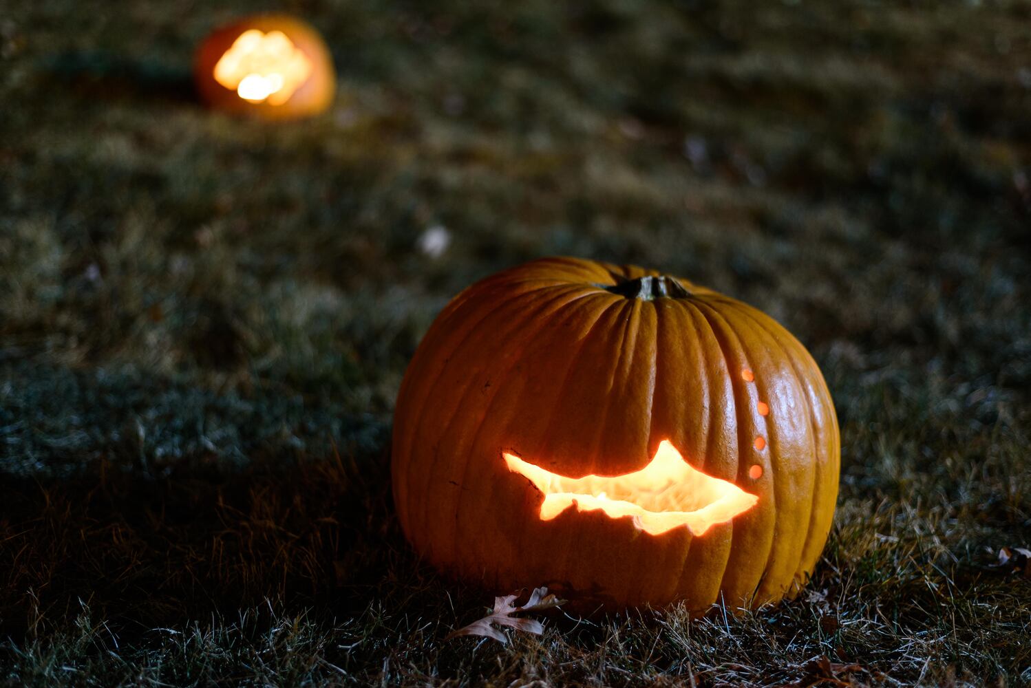 PHOTOS: The Stoddard Avenue Pumpkin Glow