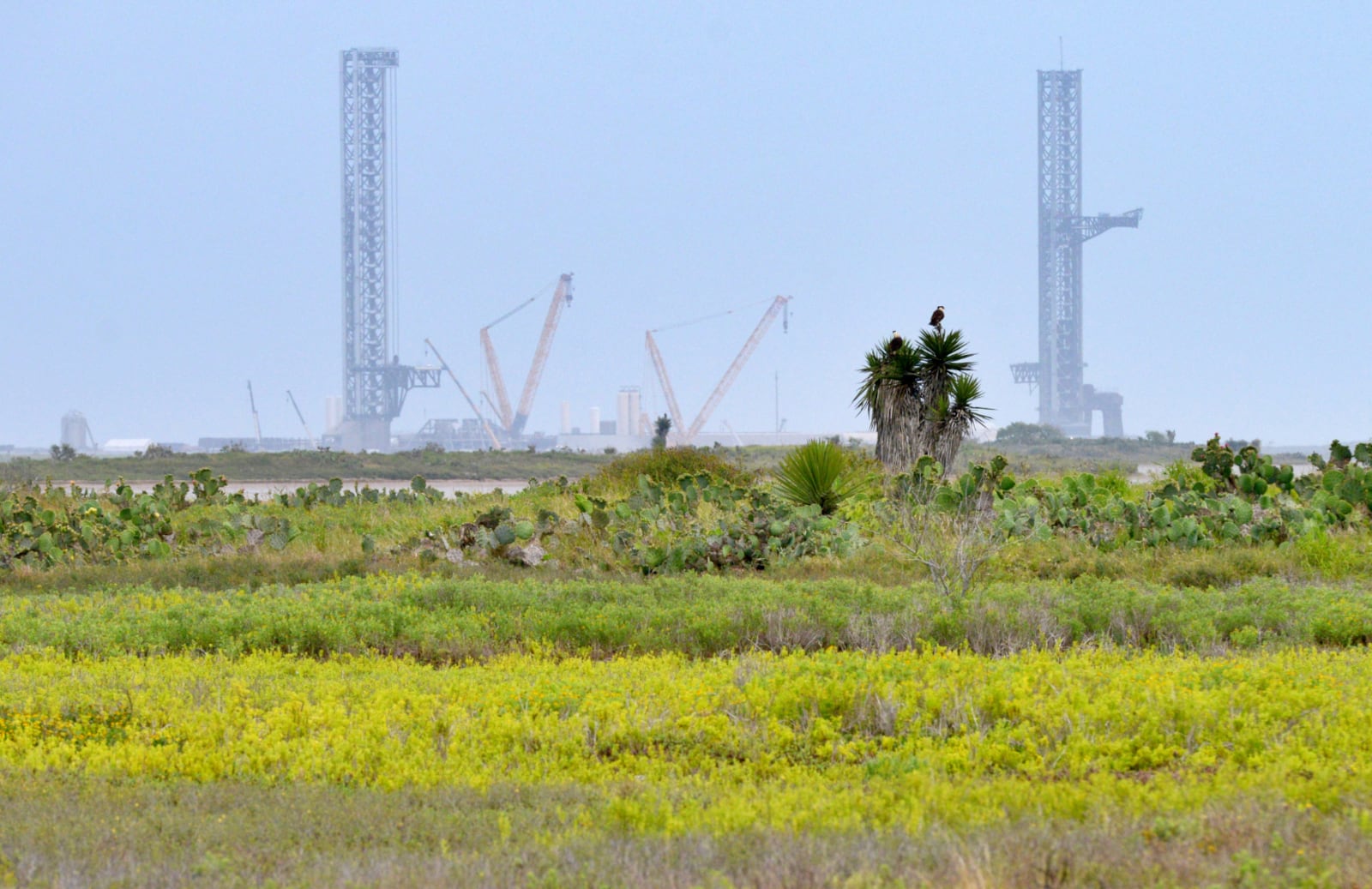 A view of SpaceX Starbase on Saturday, May 3, 2025, near Boca Chica beach, Texas, before an incorporation election that would turn Starbase into an official Texas city. (Miguel Roberts/The Brownsville Herald via AP)