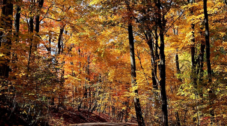 Peak leaf color should appear in southern Ohio just in time for Halloween week. CONTRIBUTED