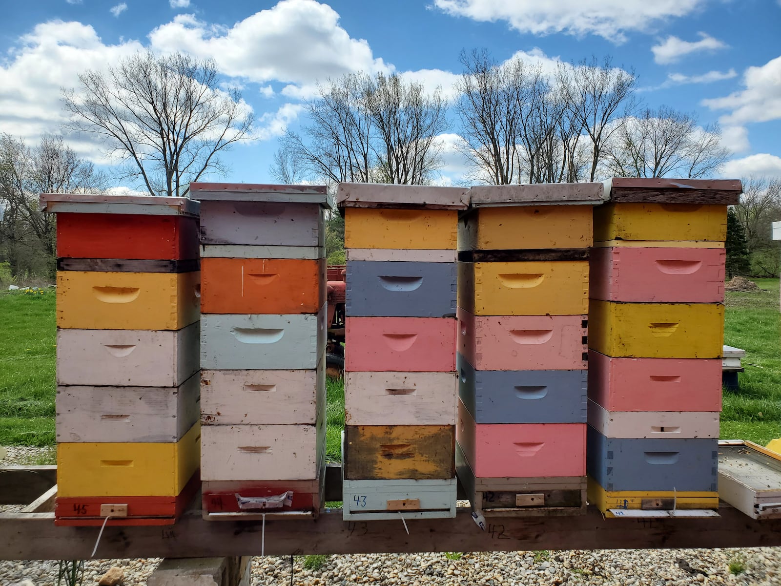 Local beekeeping service Hive Noon utilizes Langstroth hives, vertical stacked boxes containing frames that hold the honeycomb. The modern system was invented by Lorenzo Lorraine Langstroth, who is buried in Dayton’s Woodland Cemetery. CONTRIBUTED