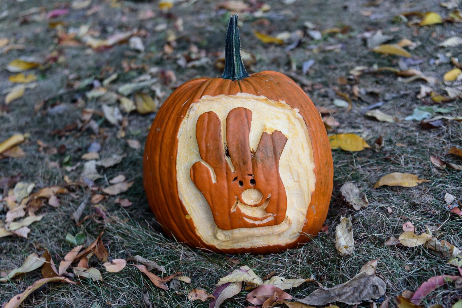 PHOTOS: The Stoddard Avenue Pumpkin Glow