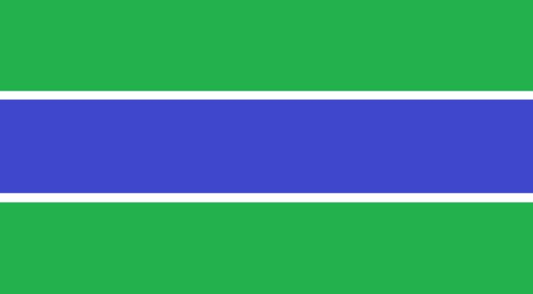 PHOTOS: See some of the Dayton flag submissions