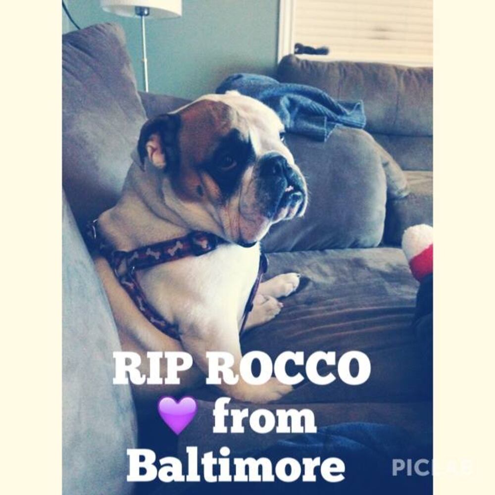 RIP Rocco