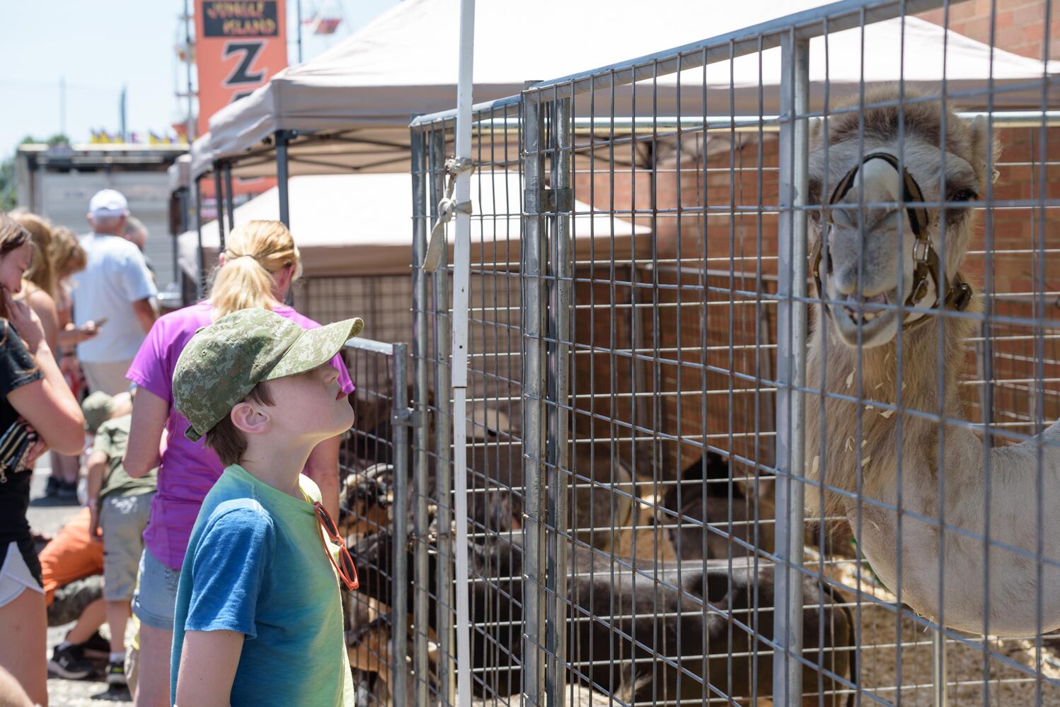 PHOTOS: 73rd annual Versailles Poultry Days