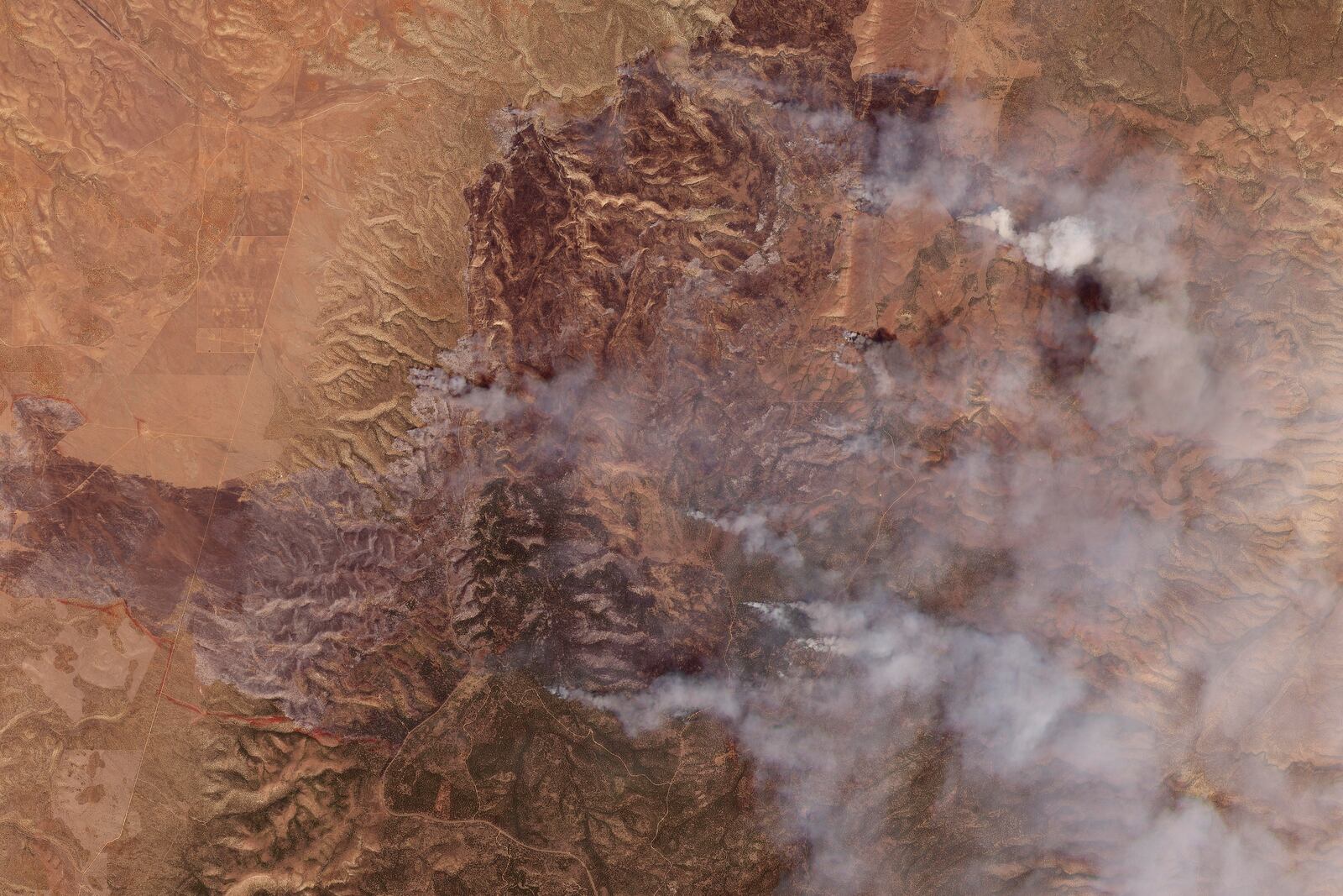 This satellite image provided by Planet Labs PBC shows smoke from the White Sage Fire in Coconino County, Arizona, on Sunday, July 13, 2025. (Planet Labs PBC via AP)