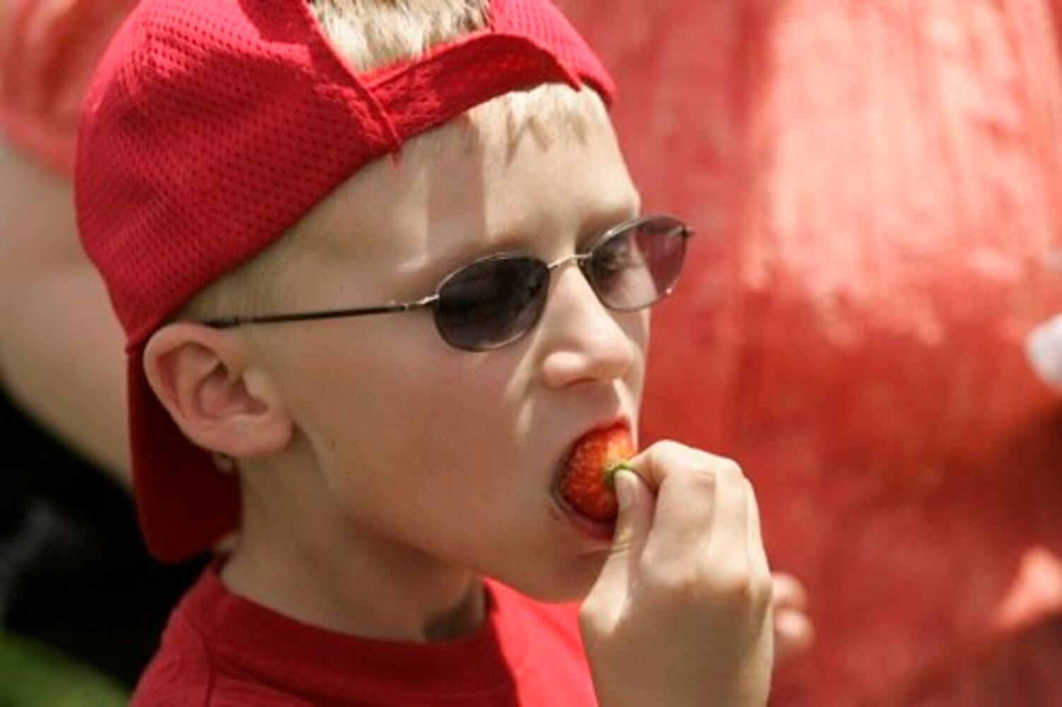 Troy Strawberry Festival