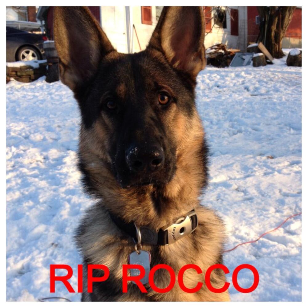 RIP Rocco