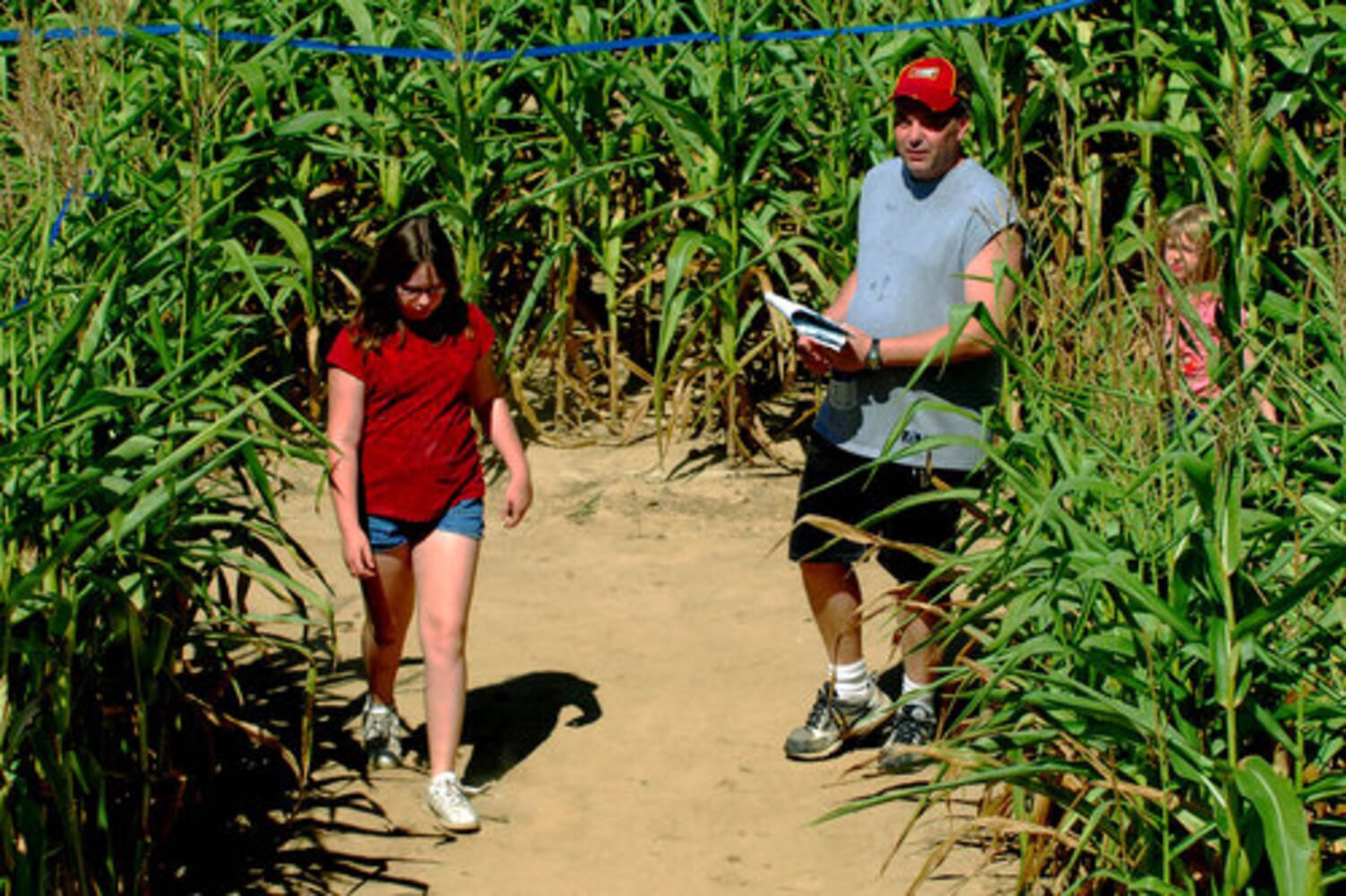 Tom's Maze corn maze opens