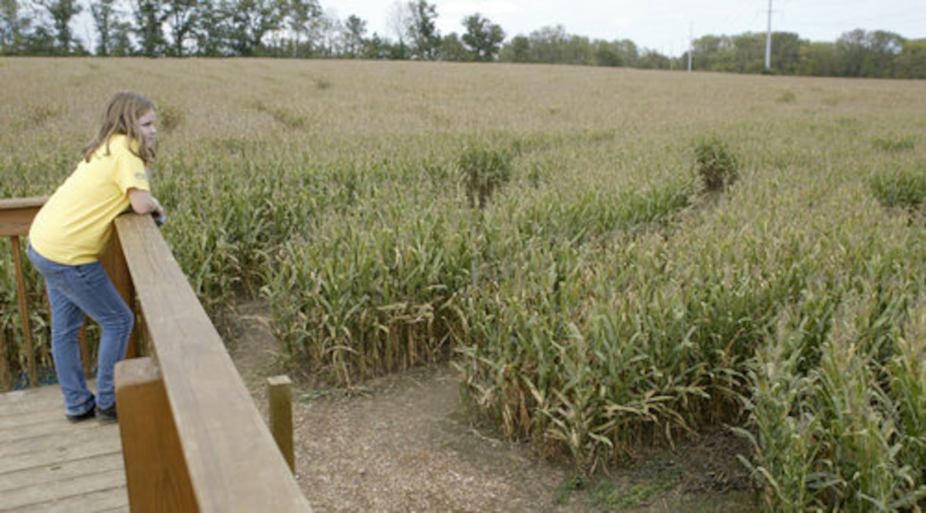Adventure Acres Corn Maze